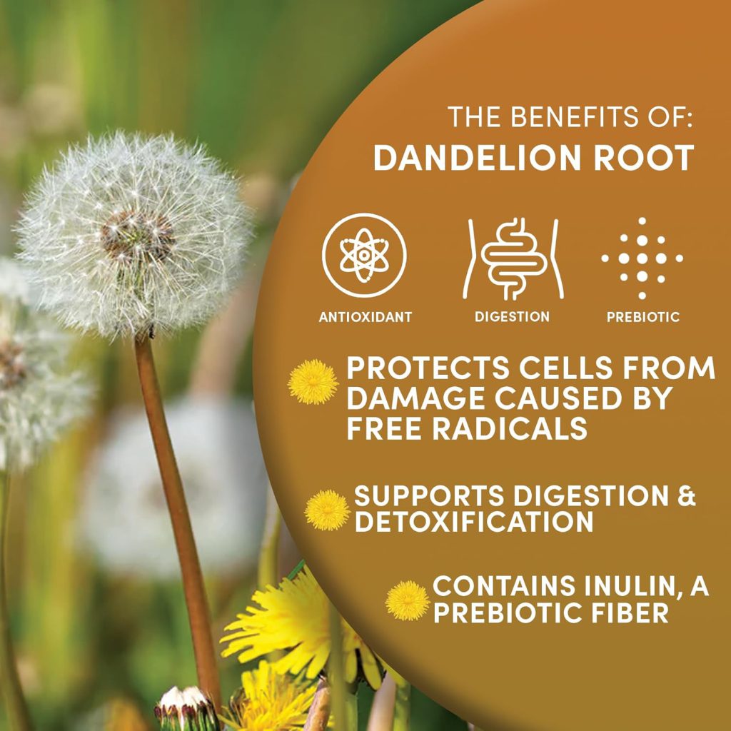 Dandelion Root